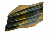 Polished Tiger's Eye Section - South Africa #148247-2